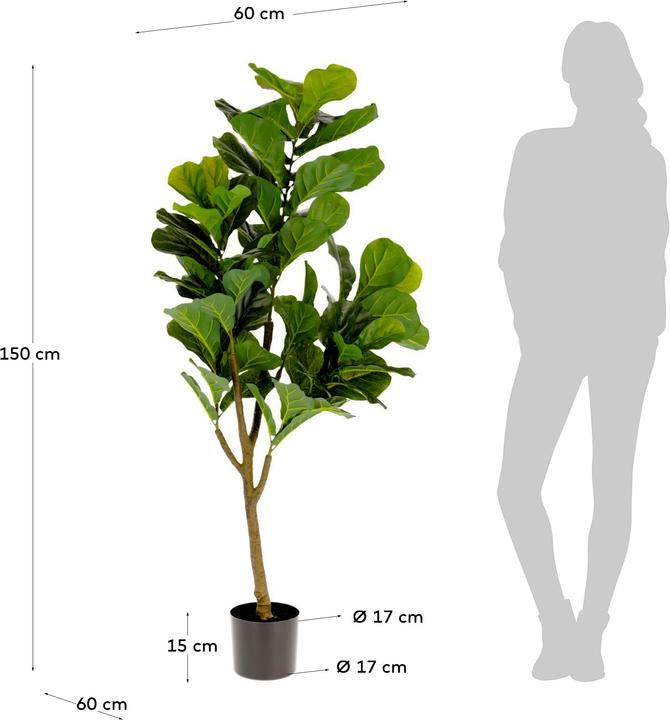 Produktbild Kave Home Ficus (150 cm)