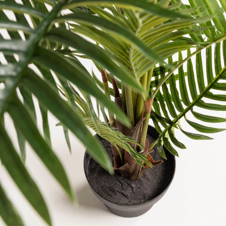 Image du produit Kave Home Palmera (150 cm)