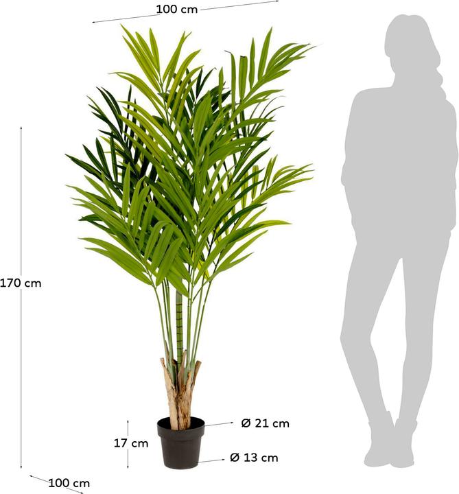 Image du produit Kave Home Palmera (180 cm)