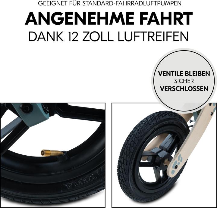 Image du produit Hauck Balance N Ride (12")