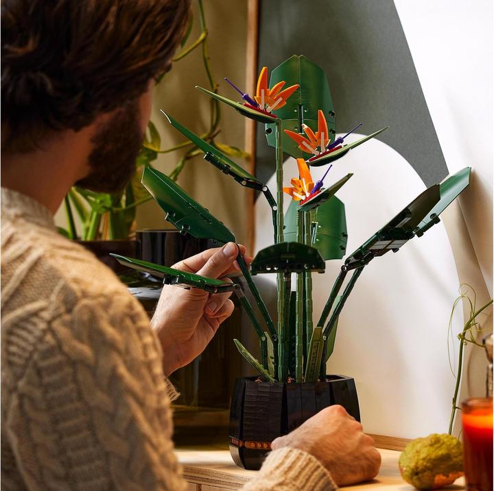 Produktbild LEGO Bird of Paradise (10289, LEGO Seltene Sets)