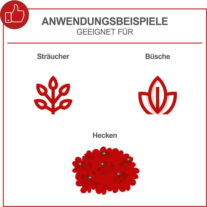 Image du produit Scheppach HTH250/240P Taille-haies 1HP (Taille-haie à essence)