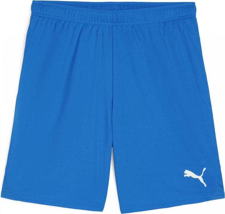 Actual product image Puma teamGOAL shorts (XL)