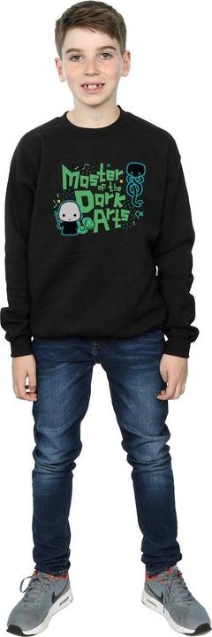 Produktbild Voldemort Dark Arts Junior Sweatshirt Jungen (140, 146)