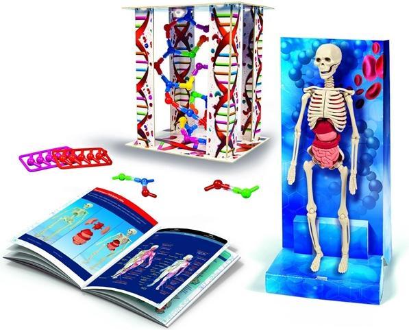 Image du produit Clementoni TOY CREATIVE SET CORPS HUMAIN 50923