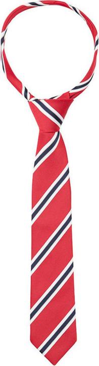 Actual product image Supreme Products Tournament tie