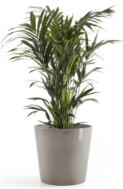 Actual product image Ecopots Amsterdam (50 cm)