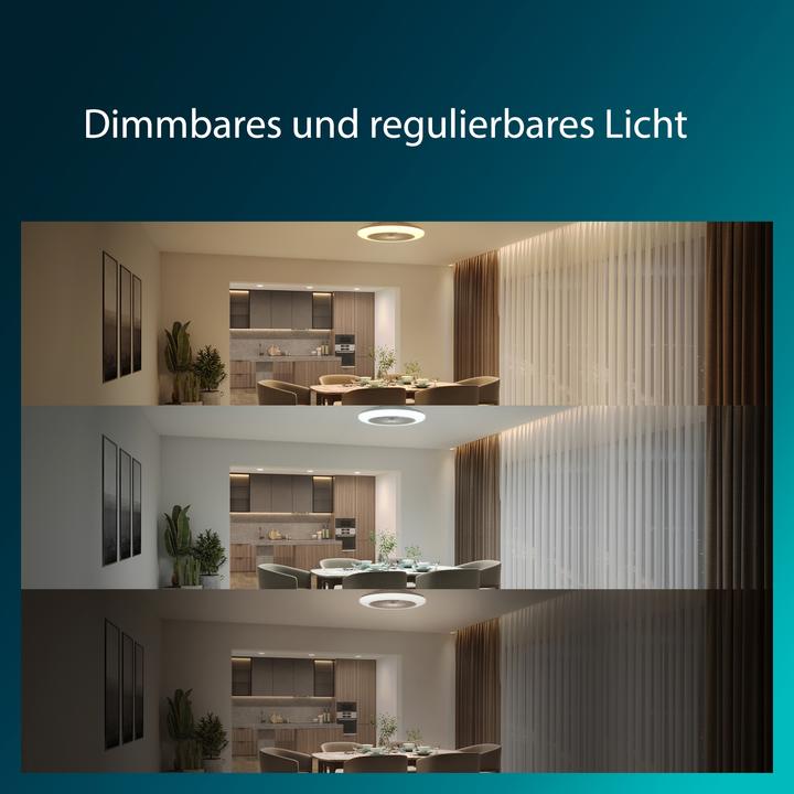 Produktbild Signify Philips Amigo (6500 lm)