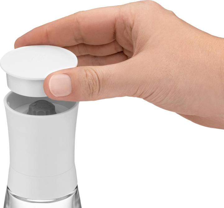 Actual product image WMF Trend (Pepper, Salt, Chili, Nutmeg)