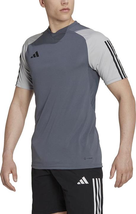 Actual product image adidas Tiro 23 Competition Training Shirt Men (M)