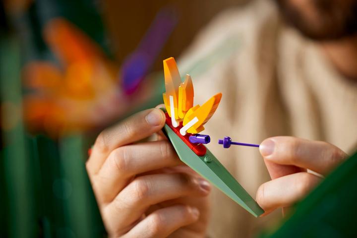 Produktbild LEGO Bird of Paradise (10289, LEGO Seltene Sets)