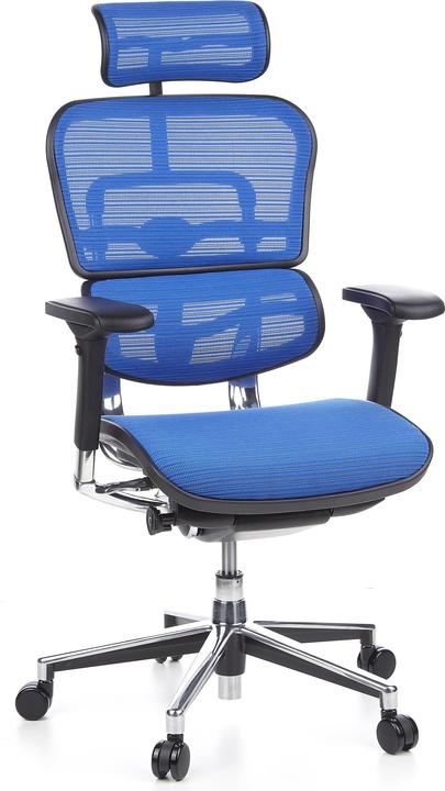 Actual product image Hjh Office ERGOHUMAN