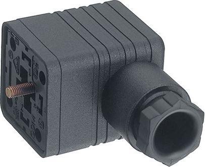 Actual product image Belden Cable socket 2+PE