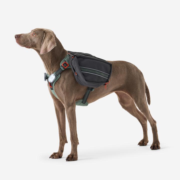 Image du produit Caperlan Harnais de randonnée pour chien (S, Chien)