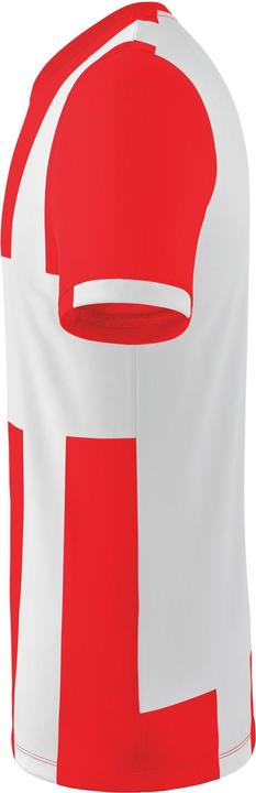 Actual product image Erima Siena 3.0 jersey (L)
