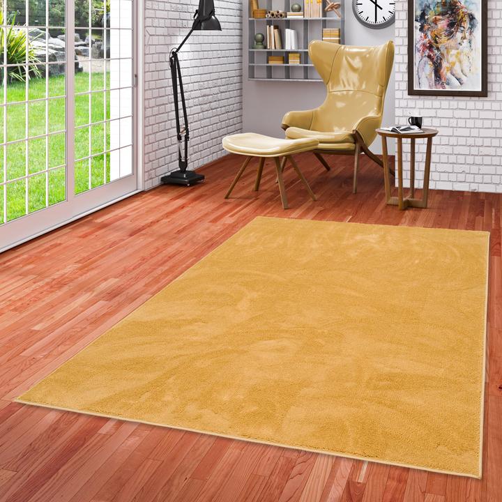 Image du produit Pergamon Luxus Super Soft Hochflor Langflor Teppich Melia (120 x 170 cm)