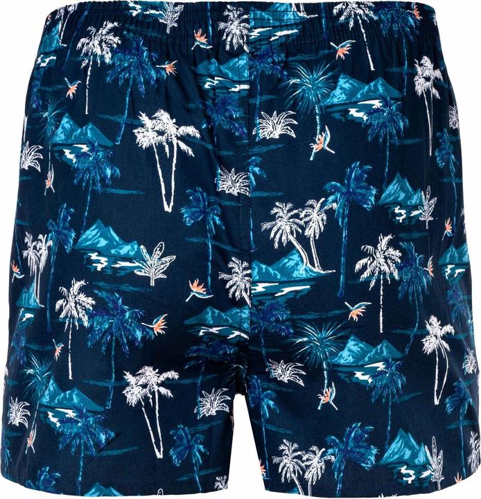 Image du produit Happy shorts Boxers tissés Casual Confortables (M)