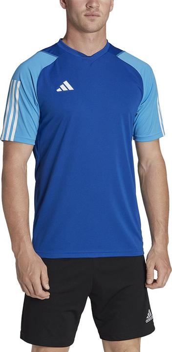 Actual product image adidas Tiro 23 Competition Training Shirt Men (S)