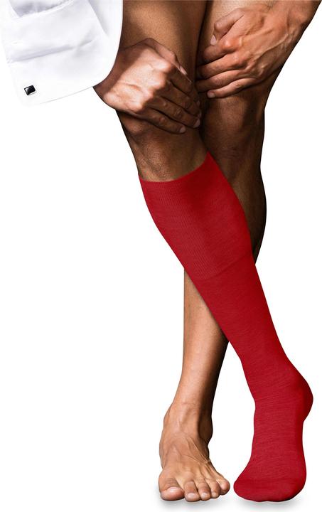 Falke No. 6 KH (45 - 46)