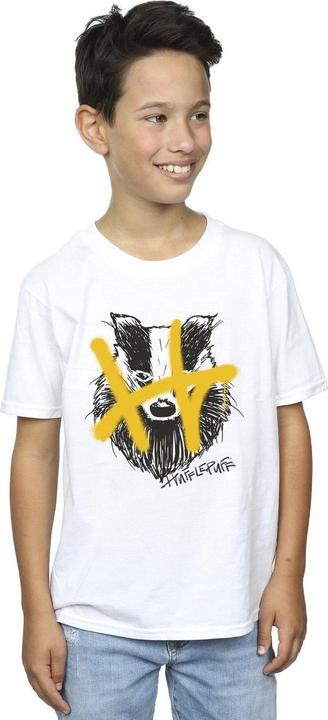 Actual product image Boys Hufflepuff Pop Spray T-Shirt (104)