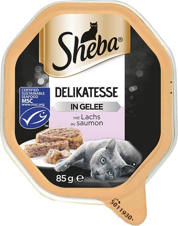 Actual product image Sheba Delicacy in jelly (Adult, 1 pcs., 85 g)