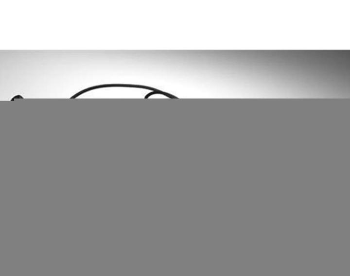Actual product image Ctek CT5 S&S Lead Acid Charger 12V/5A (12V, 3.80 A)