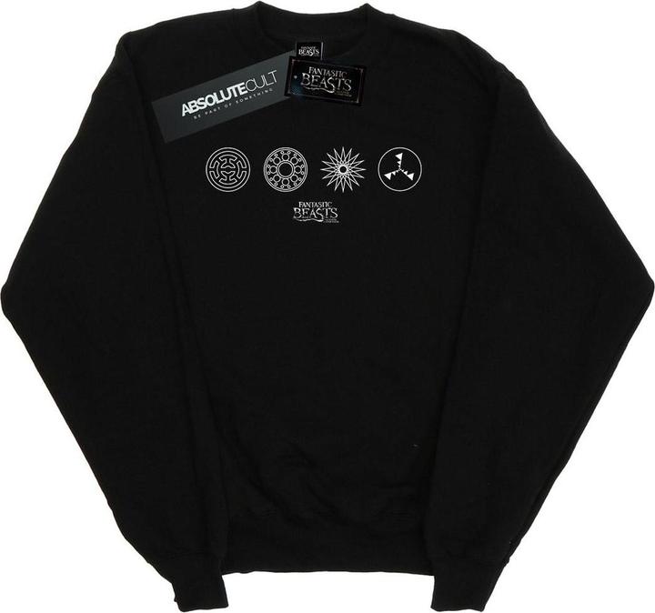 Actual product image Fantastic Beasts Mens Circular Icons Sweatshirt (M)