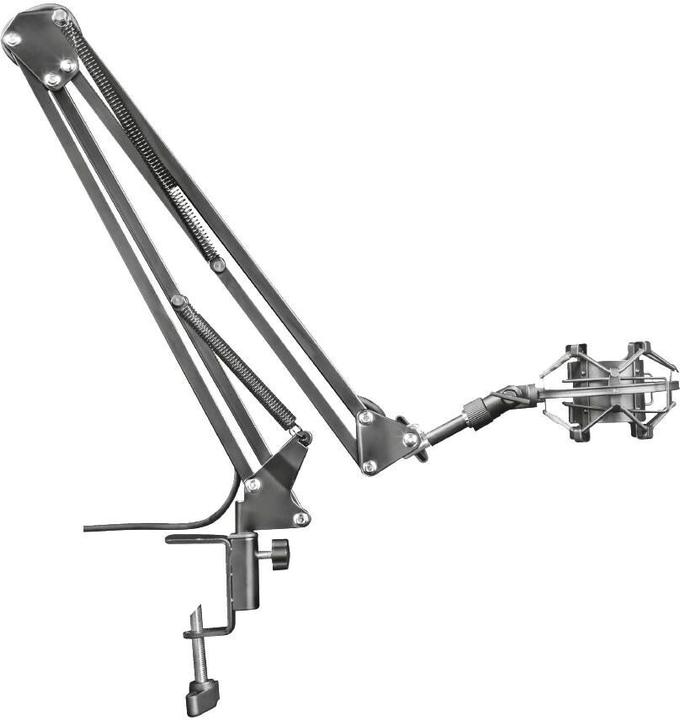 Actual product image Trust GXT 253 Emita Streaming microphone boom