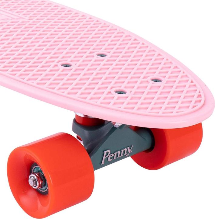 Immagine prodotto Penny Cactus Wanderlust 27 (27")
