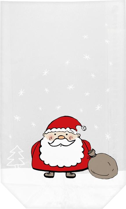 Actual product image Braun + Company Santa Claus (Gift box, 10 x)