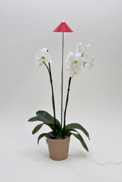 Actual product image Colibri Sunlite (LED, 230 V)