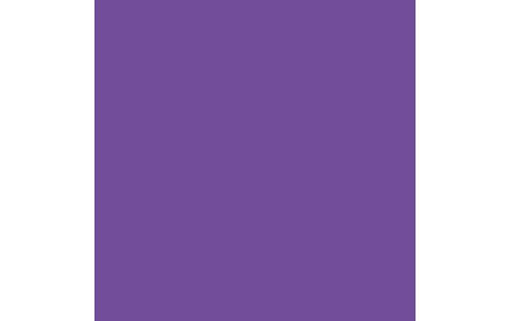 Actual product image Cricut Iron-on film Infusible Ink 2 pieces, violet