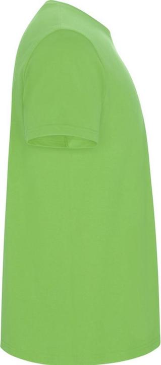 Actual product image Alpinia Mens Stafford T-Shirt (S)