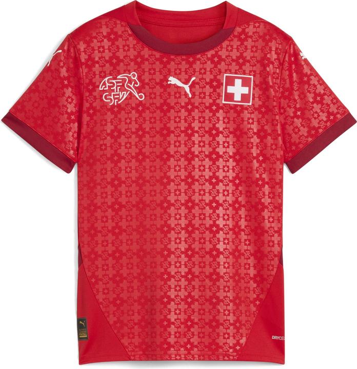 Puma SFV HOME Jersey Replica Jr (164)