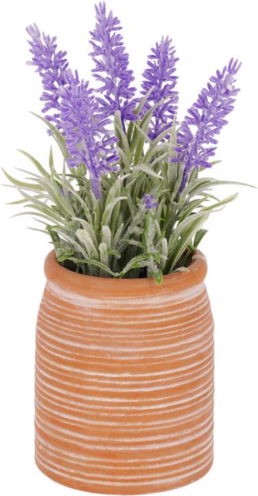 Produktbild Kave Home Lavanda (22 cm)