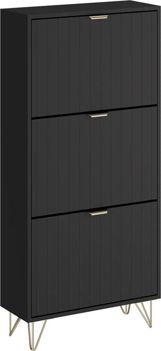 Produktbild Vichy Schuhschrank Helge, Schwarz, 60 x 128.5 cm 3 Fächer