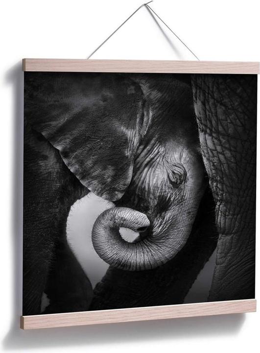Image du produit Trenddeko Le bébé éléphant (70 x 70 cm)