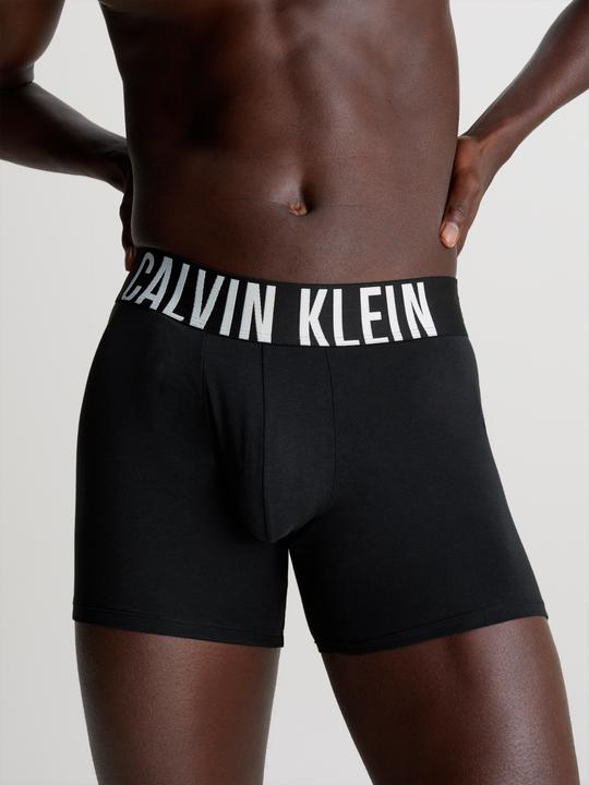 Actual product image Calvin Klein Boxer Brief 3pk (L, pack of 3)