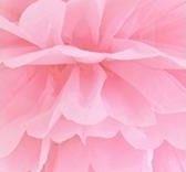 Image du produit Partydeco Papier tissu Pompom, light pink, 25cm (1 pkt / 1 pc.)