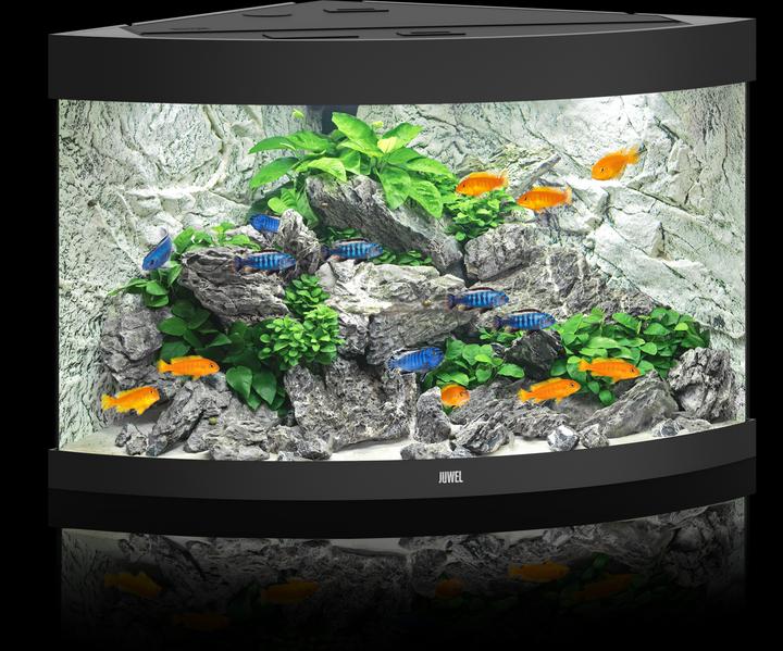 Produktbild Juwel Aquarium Aquarium Trigon 190 98.5x59.5x70cm schwarz (190 l)