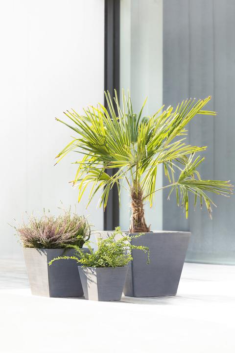 Actual product image Ecopots Rotterdam (20 cm)