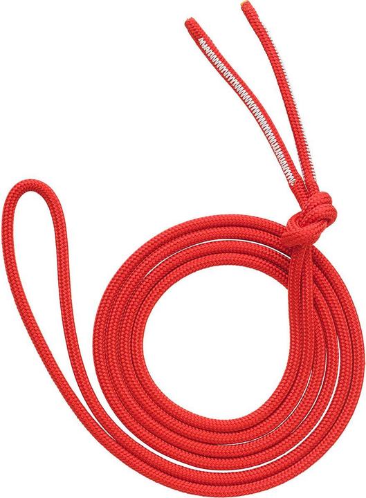 Produktbild AustriAlpin Dyna.Mit Reepschnur (2.90 m)