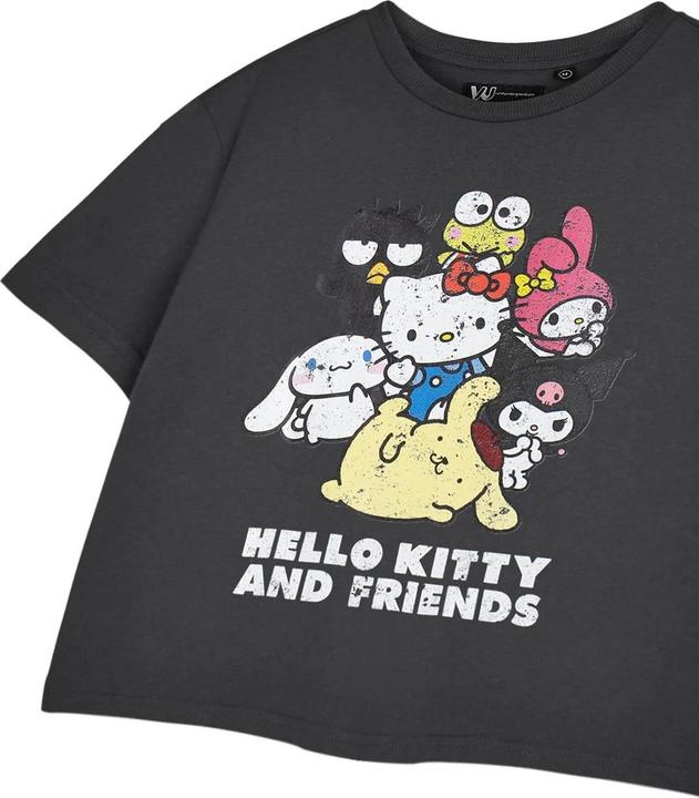 Actual product image Hello Kitty & Friends Womens/Ladies Cropped Short-Sleeved T-Shirt (S)