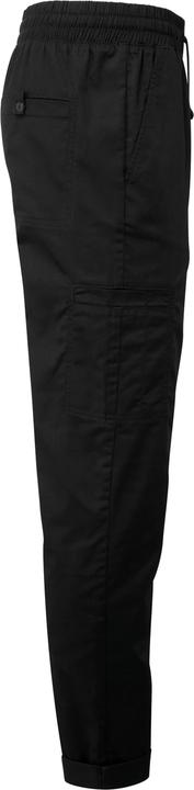 Produktbild Premier Recycelte Cargohose (XXL)