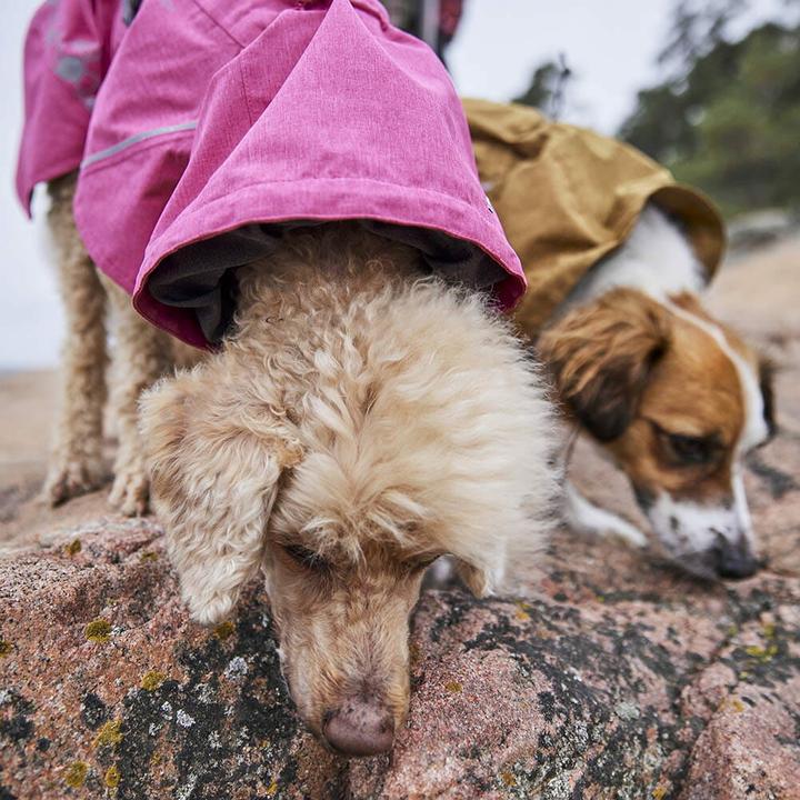 Immagine prodotto Hurtta Monsoon V2 (40, Cappotto impermeabile per cani)