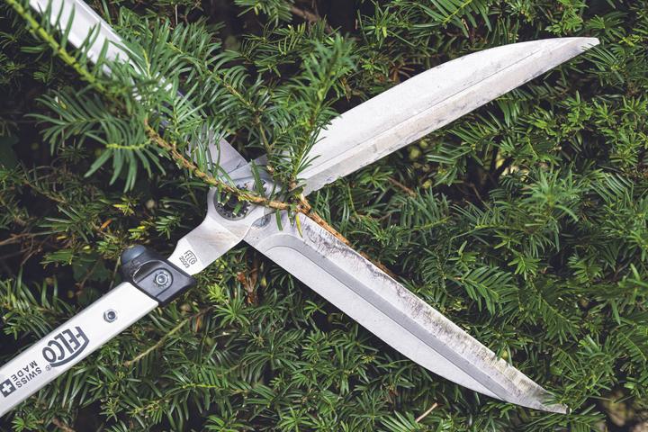 Actual product image Felco Hedge trimmer (Hedge trimmer)