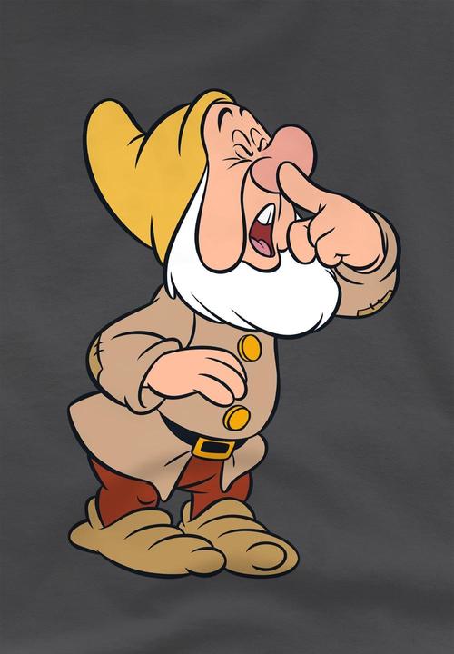 Actual product image Snow White Childrens/Kids Sneezy T-Shirt (152, 158)