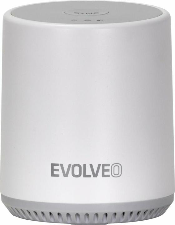 Actual product image Evolveo Bezdrátový kamerový systém Detective BT4 SMART (Network Video Recorder (NVR))