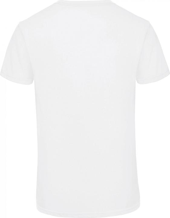 Actual product image B&C Triblend (L)