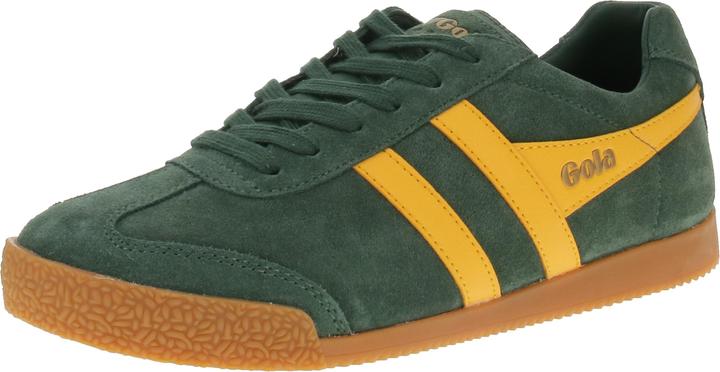 Sole sempreverde
